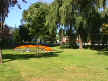 RodgerBurnesGreen.jpg (88460 bytes)