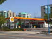Shell.jpg (63445 bytes)